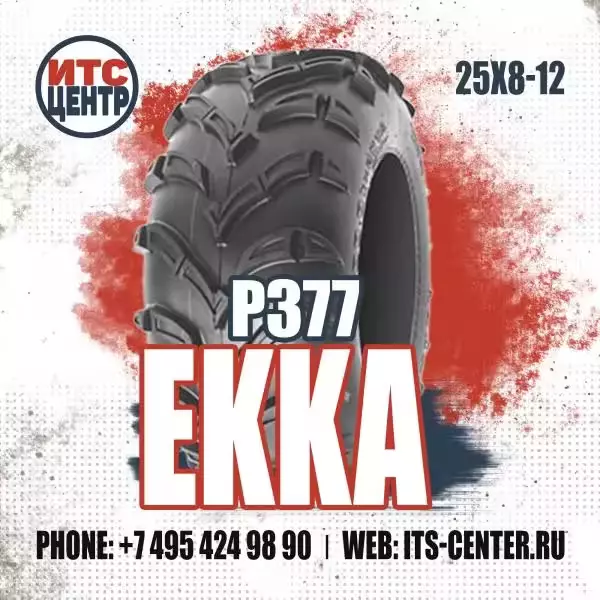 25х8-12 P377 4PR EKKA Шины для квадроциклов