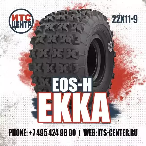 22х11-9 EOS-H EKKA  Шины для квадроциклов