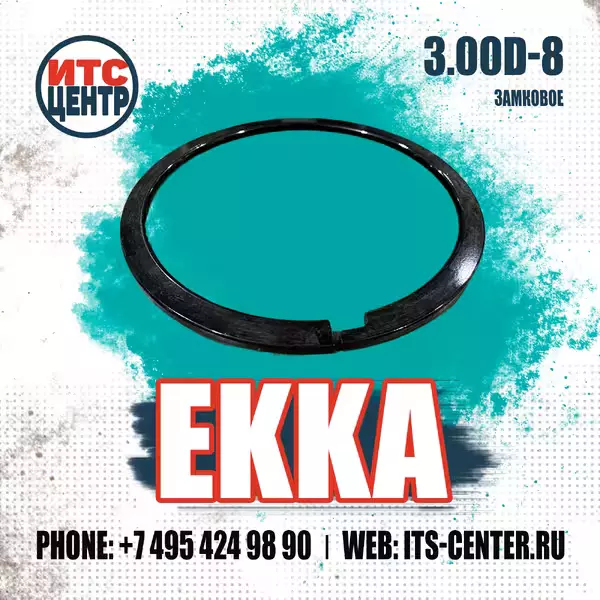Замковое кольцо диска 3.00D-8 EKKA