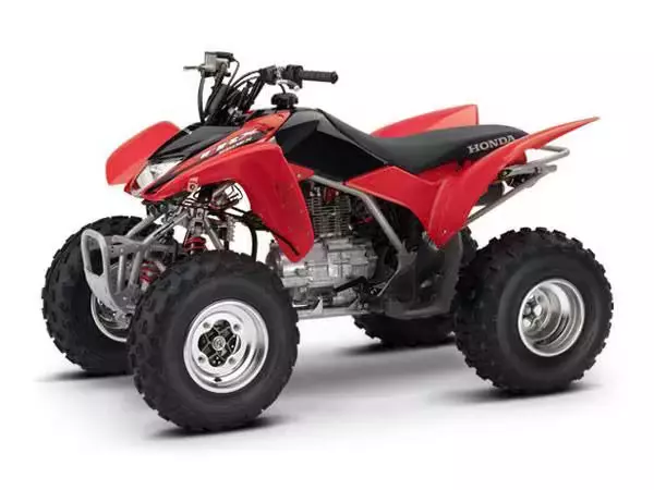 Шины на Квадроцикл Honda TRX250X