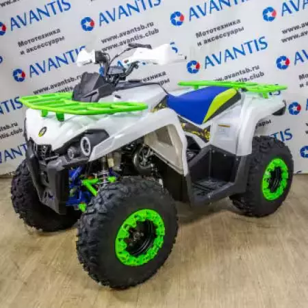 Шины на Квадроцикл Avantis Forester 200