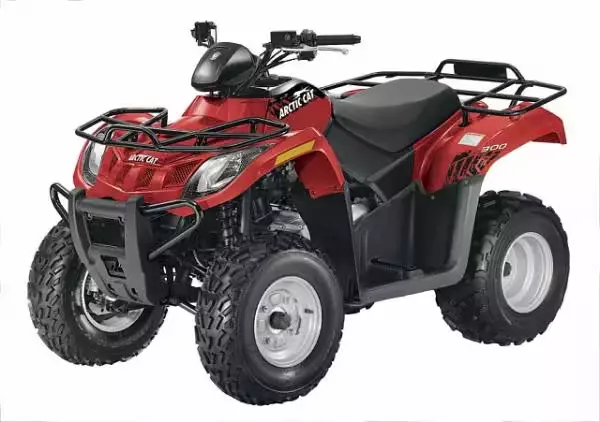 Шины на Квадроцикл Arctic Cat 300 series