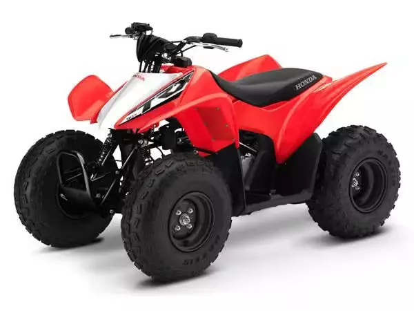 Шины на Квадроцикл Honda TRX90X