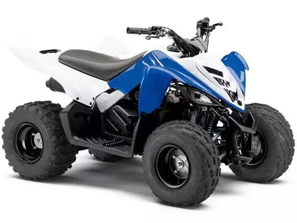 Шины на Квадроцикл Yamaha YFM90R / Raptor 90