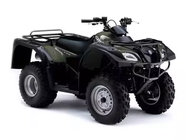 Шины на Квадроцикл Suzuki LT-F250