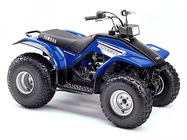 Шины на Квадроцикл Yamaha Breeze 125