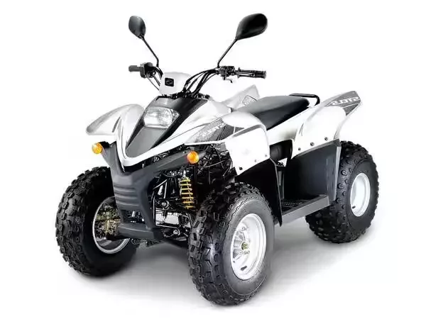 Шины на Квадроцикл Stels ATV 100C