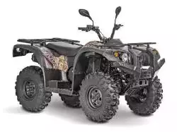Striker 400 EFI