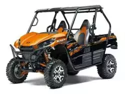 Teryx4