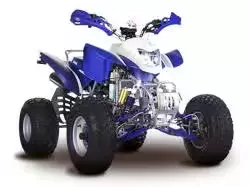 ATV250S