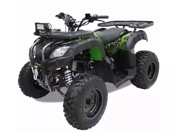 ATV Grizlik 200 LUX