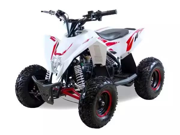 Gekkon 70cc