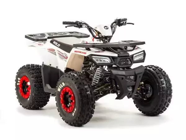 Wild 125