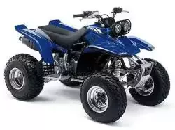 YFM350X / Warrior 350