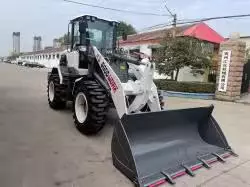 LX300