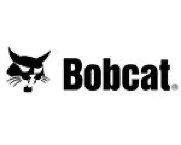 Bobcat